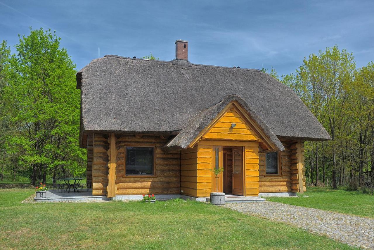 Dom Pod Sosnami Villa Gryzyna Luaran gambar
