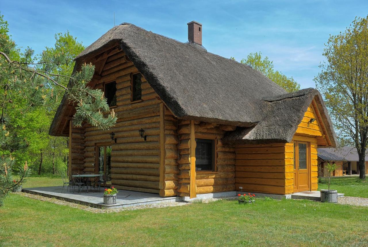 Dom Pod Sosnami Villa Gryzyna Luaran gambar