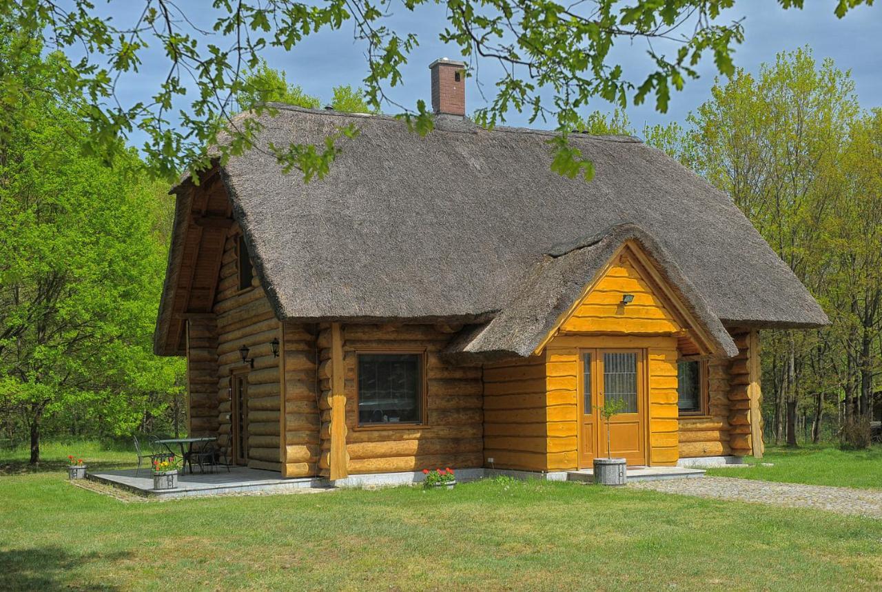 Dom Pod Sosnami Villa Gryzyna Luaran gambar