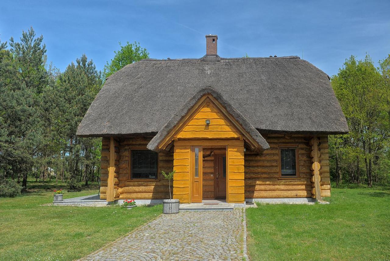 Dom Pod Sosnami Villa Gryzyna Luaran gambar